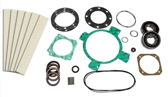 PM100T Vacuum Pump Rebuild Kit With Bearings