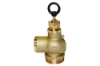 Picture of 2" RIV High-Capacity Pressure Relief Valve