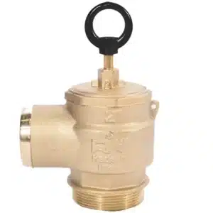 2" RIV Pressure Relief Valve