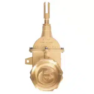 RIV Brass Piston Valve