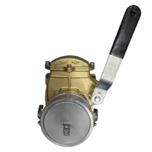 RIV Brass Lever Gate Valve Combo NPT Dust Plug