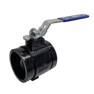 3" grooved butterfly valve angle view 1